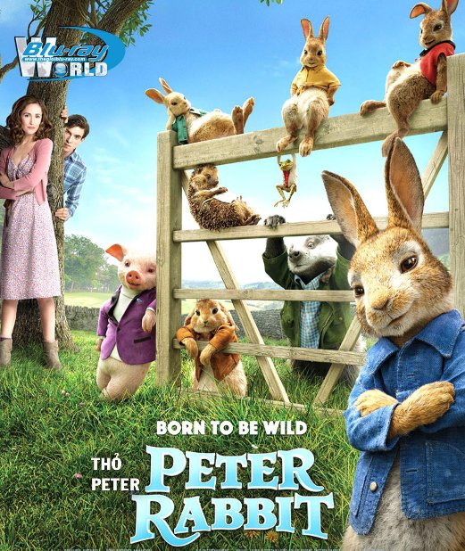 B3477. Peter Rabbit 2018 -  Thỏ Peter 2D25G (DTS-HD MA 5.1) 